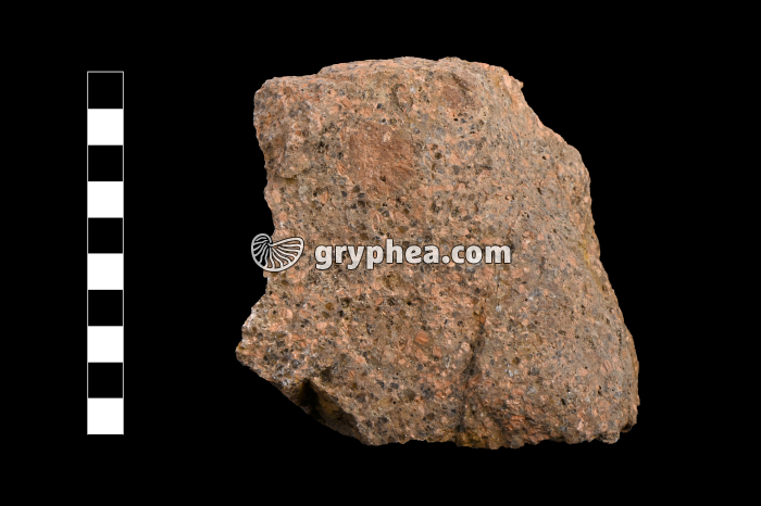 Rhyolite - échantillon (Esterel, France) - gryphea.com